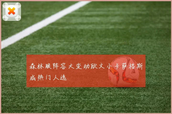 森林狼阵容大变动欧文小卡萨格斯成热门人选